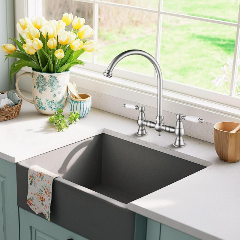 AquaTrimo Country 2 τρυπών κλασική κουζίνα νοσταλγική γέφυρα κουζίνας με στρογγυλή έξοδο χρώμα ανοξείδωτο ατσάλι 21CT7655NM