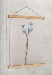 Woodsea Frame S - Δρυς μαγνητικό πλαίσιο S (A4) 1208971603