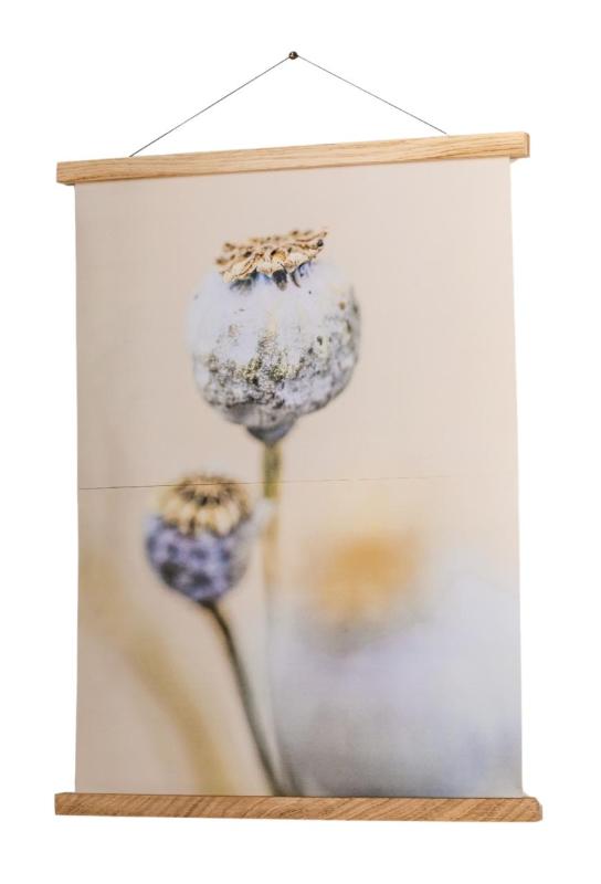 Woodsea Frame M - Πλαίσιο από δρυς με μαγνήτη M (A3) 1208971604